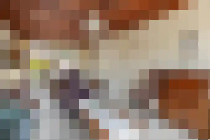 Van den Boogaardstraat 36 Ravenstein thumbnail 5