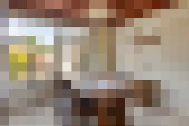 Van den Boogaardstraat 36 Ravenstein thumbnail 7