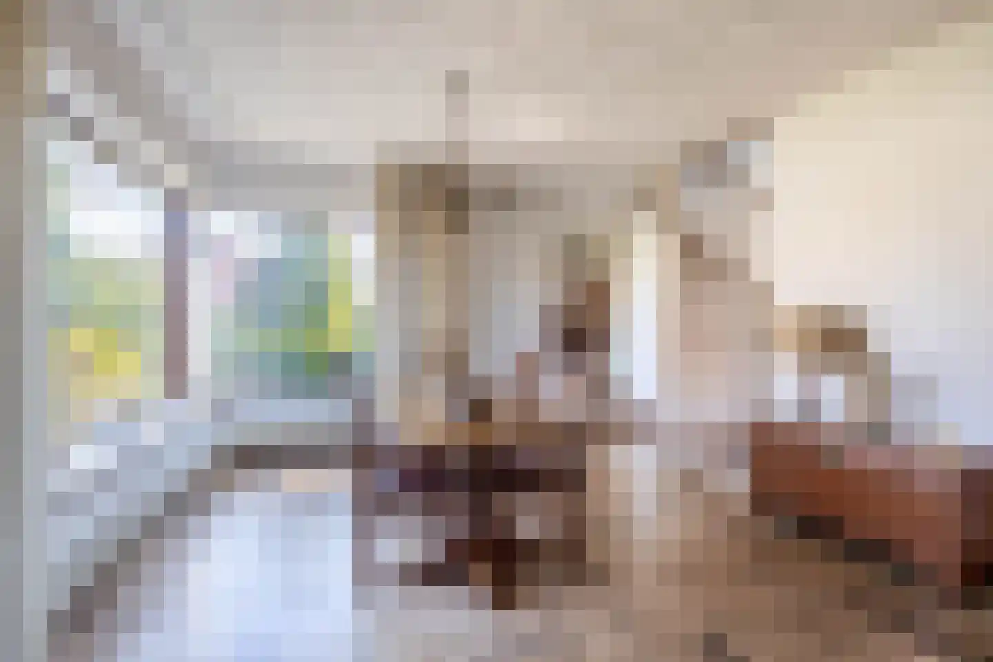 van den Boomstraat 1 Eersel thumbnail 12