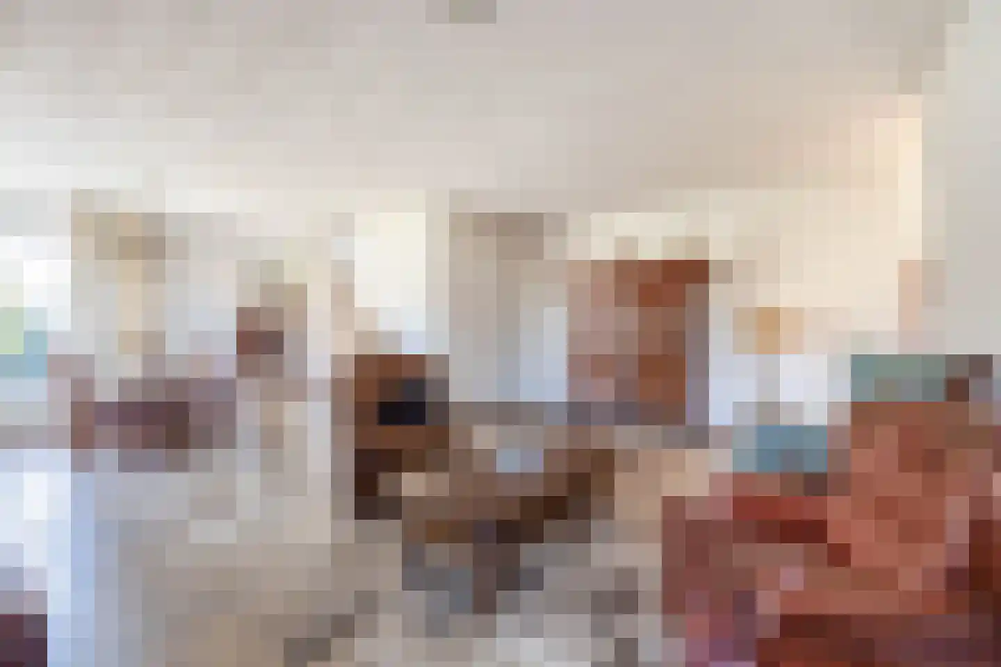 van den Boomstraat 1 Eersel thumbnail 14