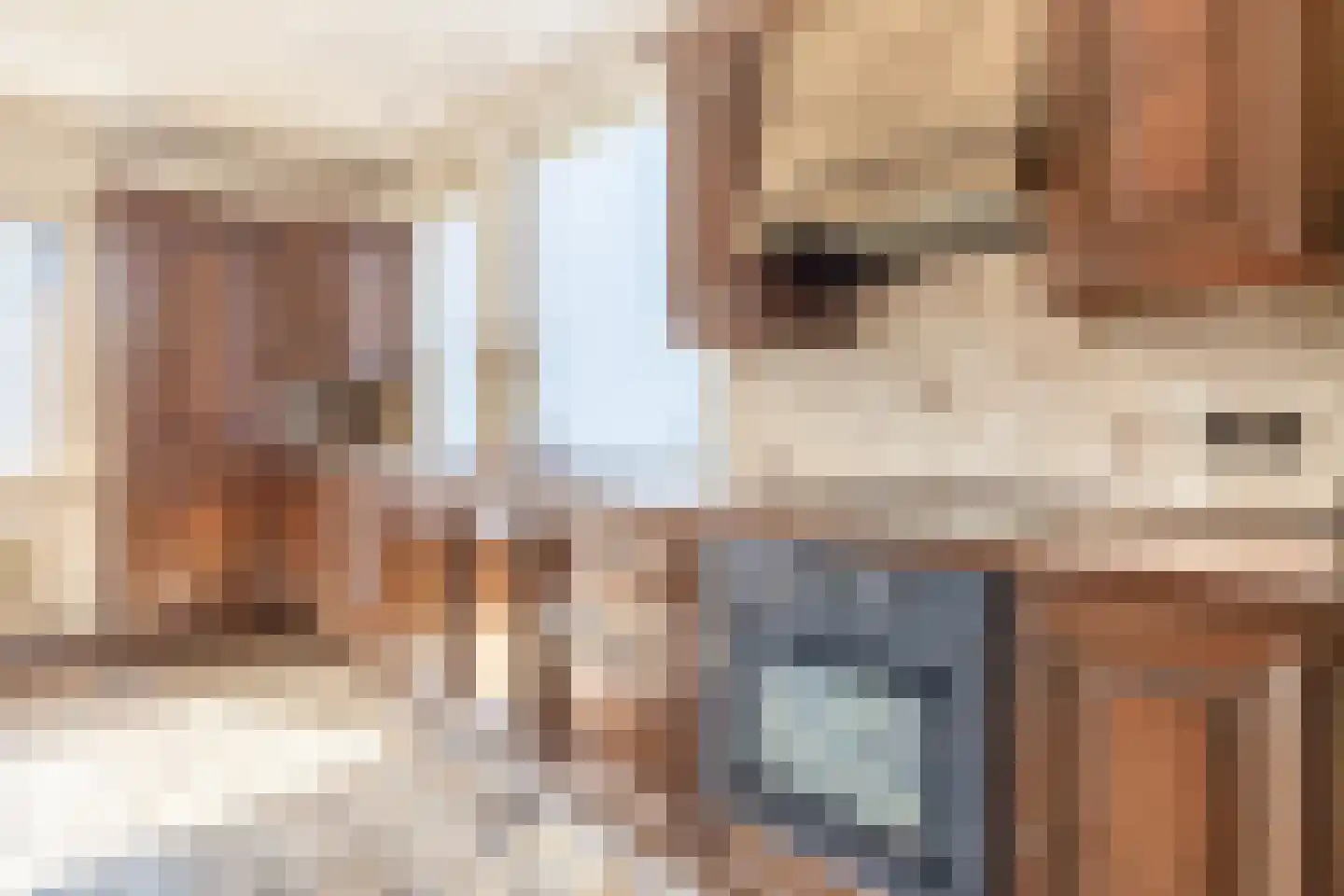 van den Boomstraat 1 Eersel thumbnail 20