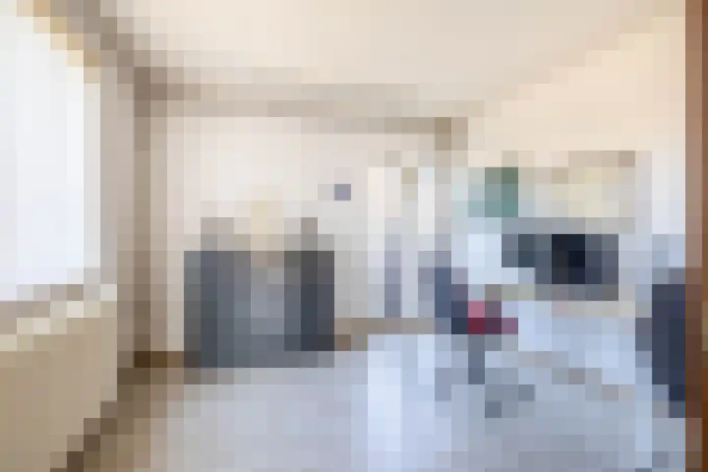 van den Boomstraat 1 Eersel thumbnail 25