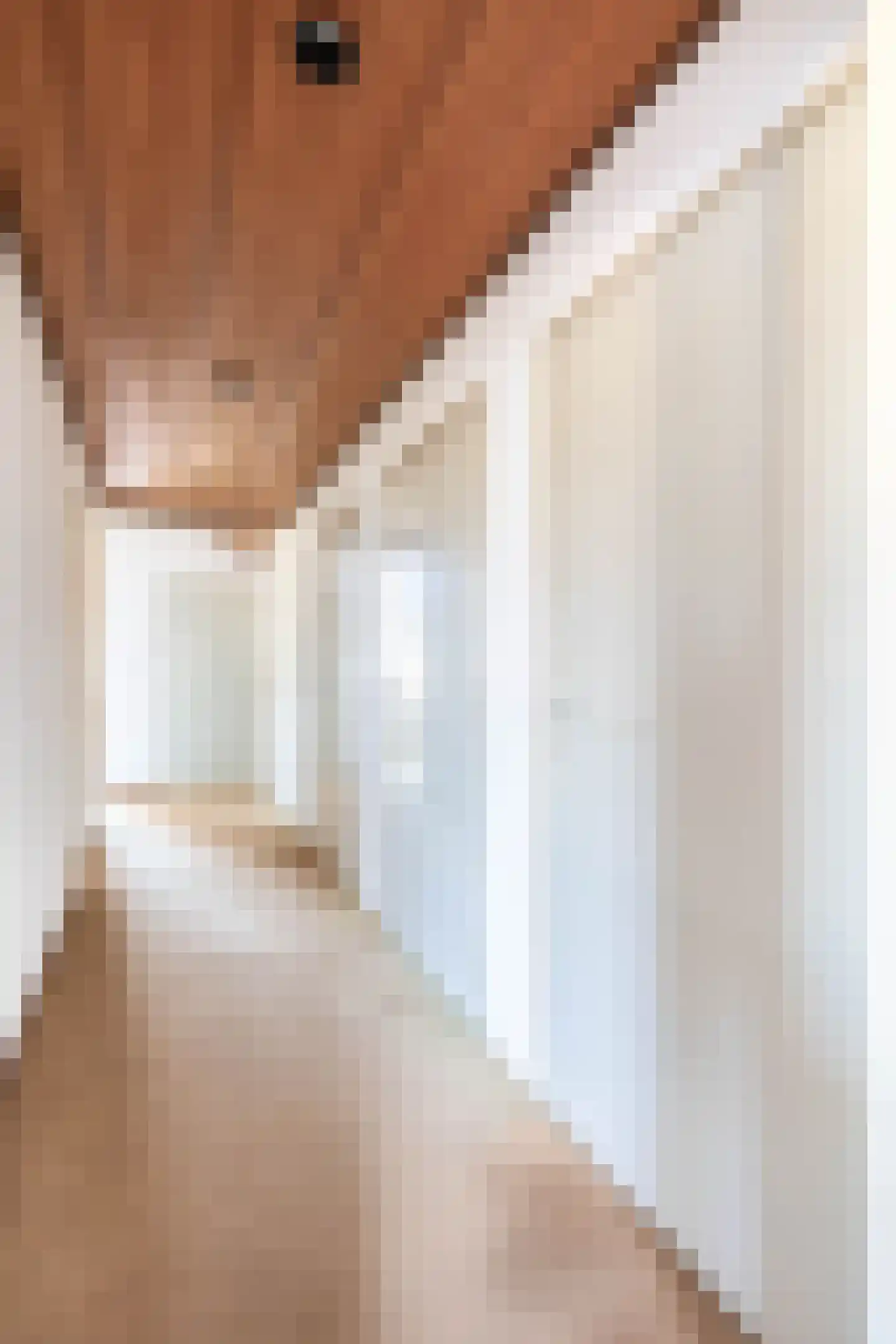 van den Boomstraat 1 Eersel thumbnail 34