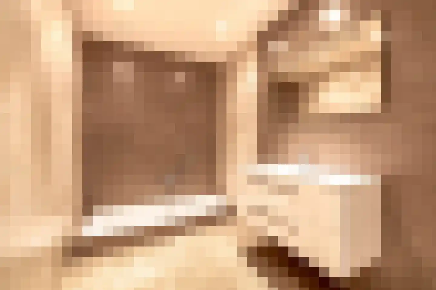 van den Boomstraat 1 Eersel thumbnail 4
