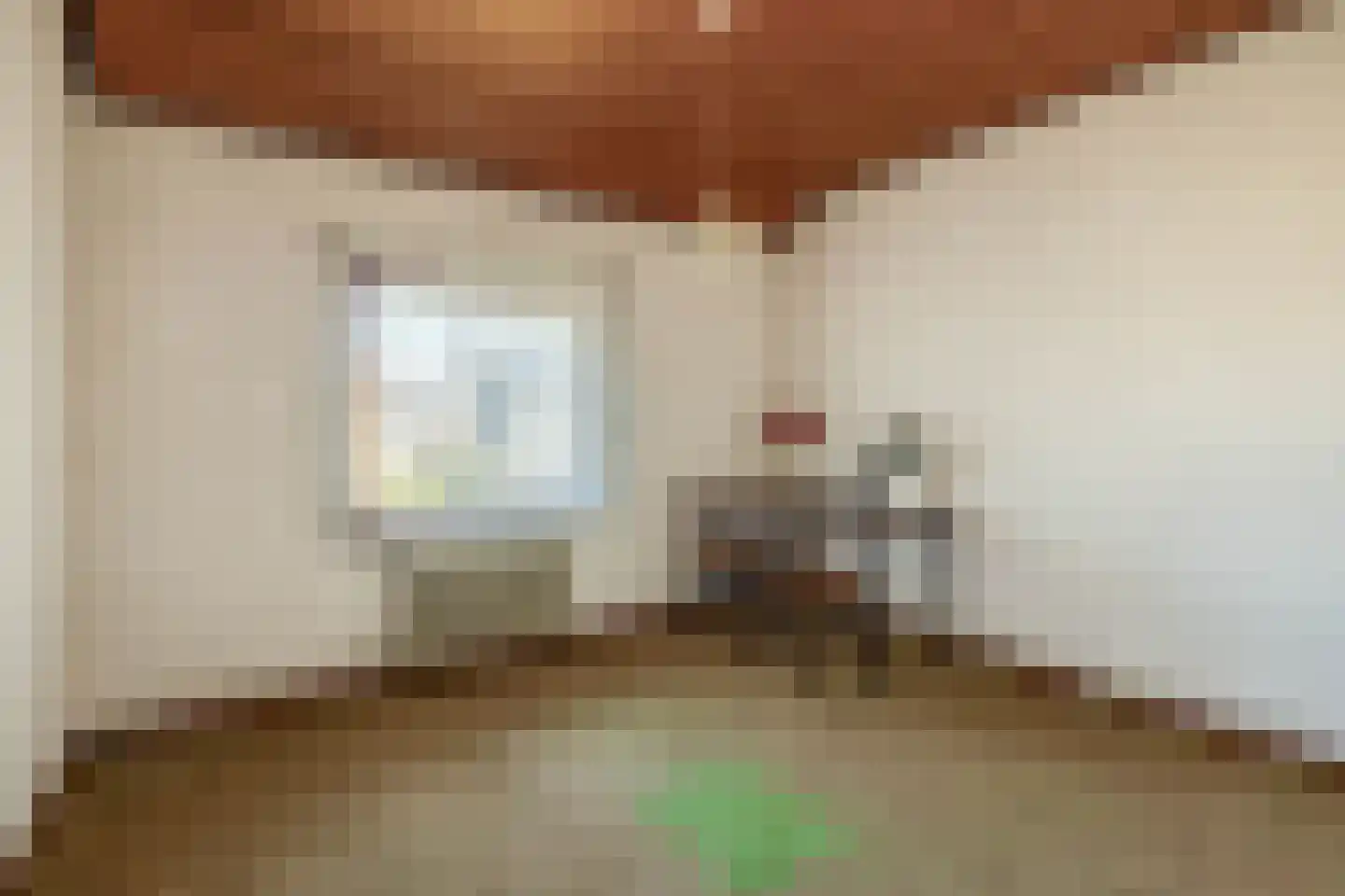 van den Boomstraat 1 Eersel thumbnail 41