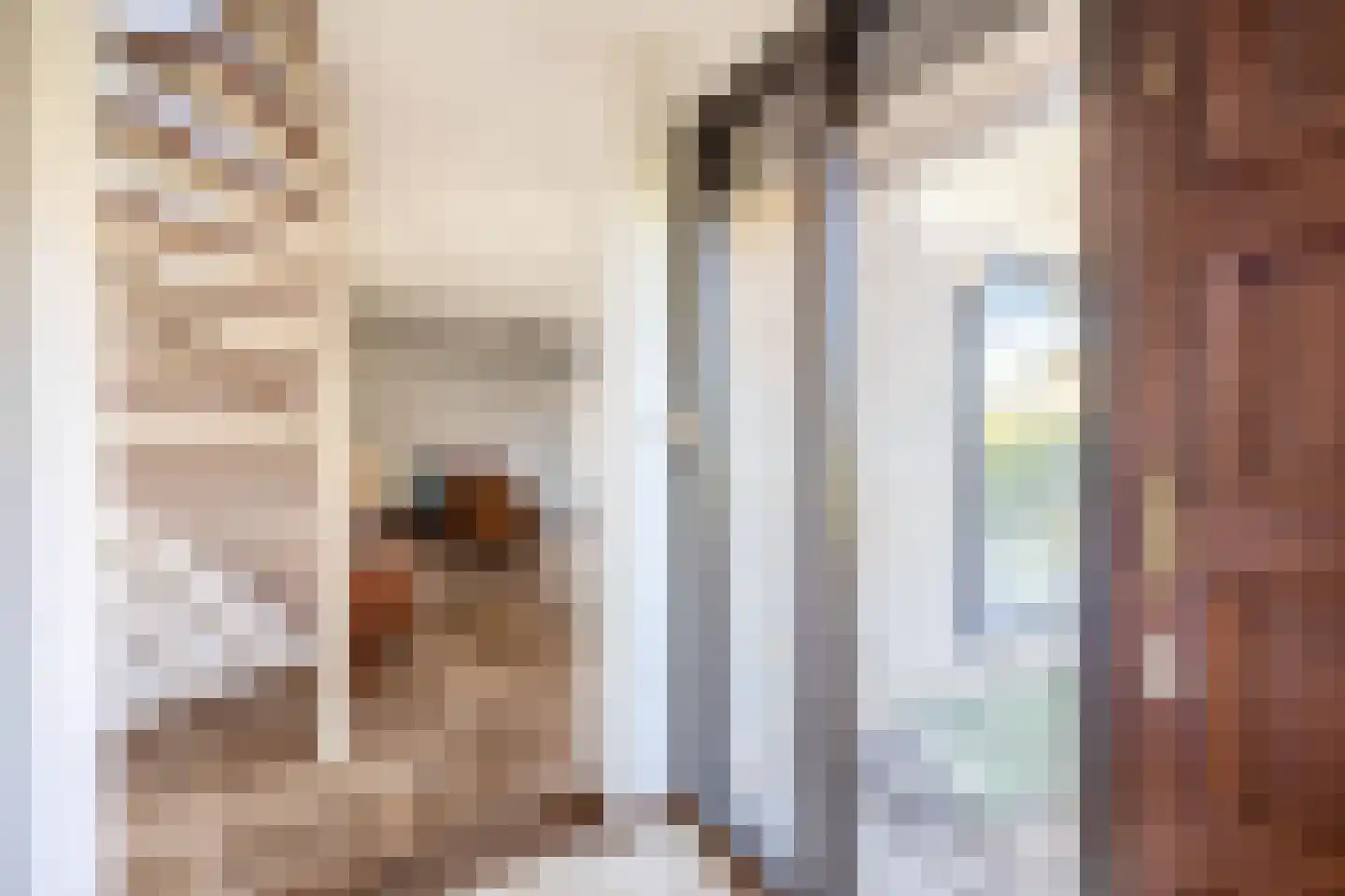 van den Boomstraat 1 Eersel thumbnail 9