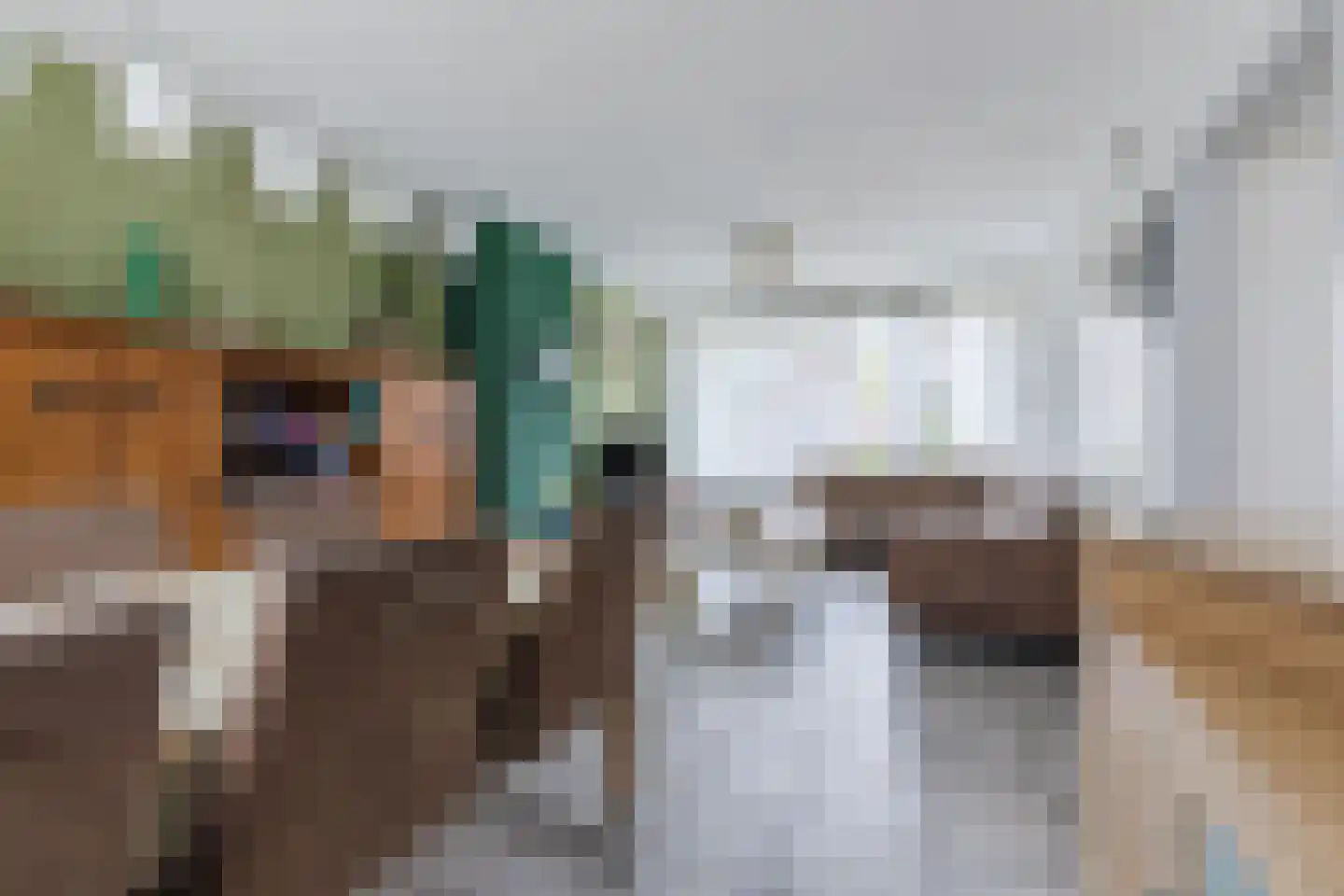van den Boomstraat 47 Eersel thumbnail 10