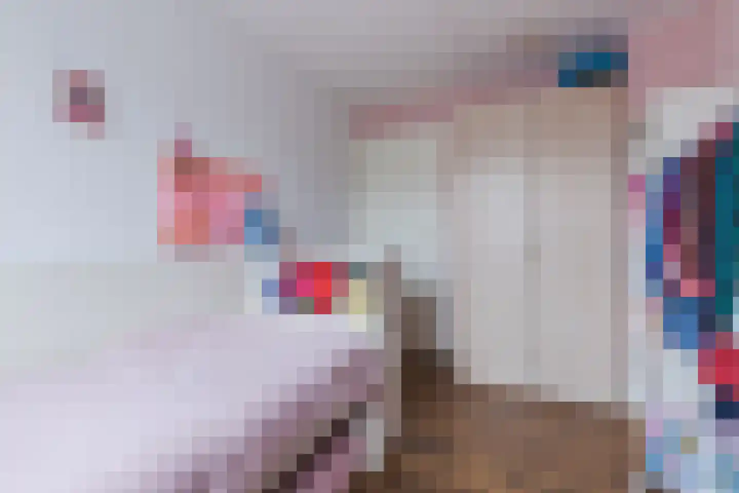 van den Boomstraat 47 Eersel thumbnail 19