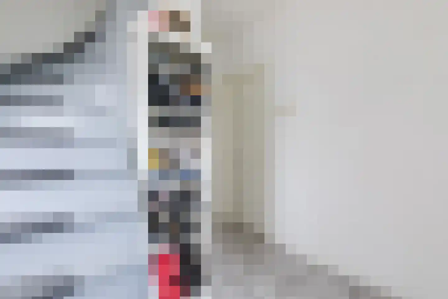 van den Boomstraat 47 Eersel thumbnail 4