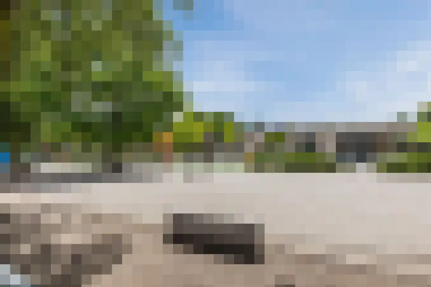 van den Boomstraat 47 Eersel thumbnail 42
