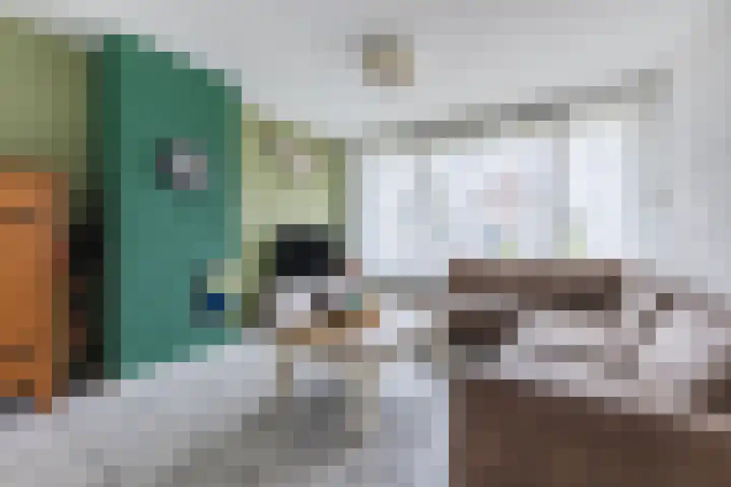 van den Boomstraat 47 Eersel thumbnail 7