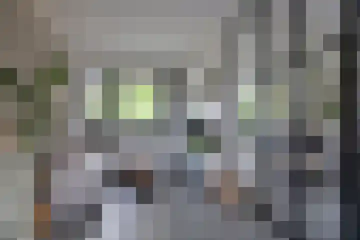 Van den Boschlaan 111 Ede thumbnail 14