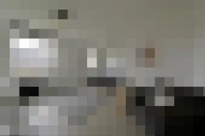 Van den Boschlaan 111 Ede thumbnail 16