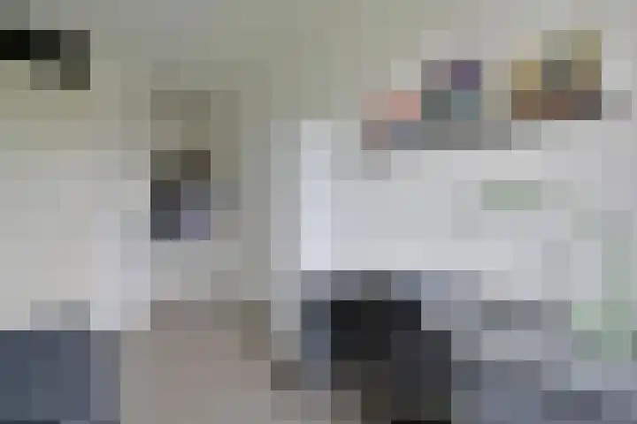 Van den Boschlaan 111 Ede thumbnail 20
