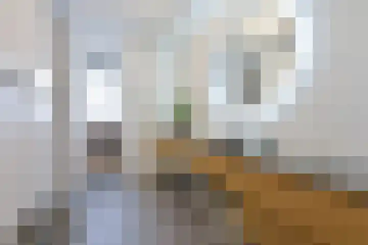 Van den Boschlaan 111 Ede thumbnail 23