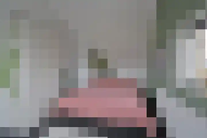 Van den Boschlaan 111 Ede thumbnail 27