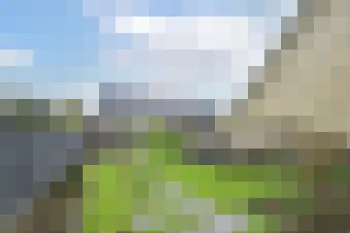 Van den Boschlaan 111 Ede thumbnail 4