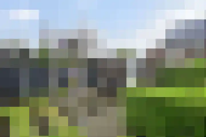 Van den Boschlaan 111 Ede thumbnail 5