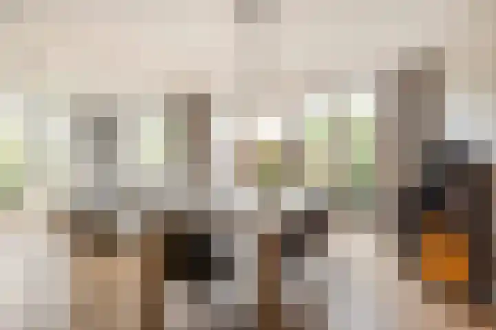 Van den Boschlaan 125 Ede thumbnail 11