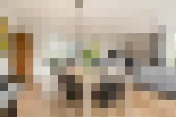 Van den Boschlaan 125 Ede thumbnail 12