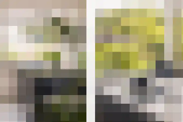 Van den Boschlaan 125 Ede thumbnail 14