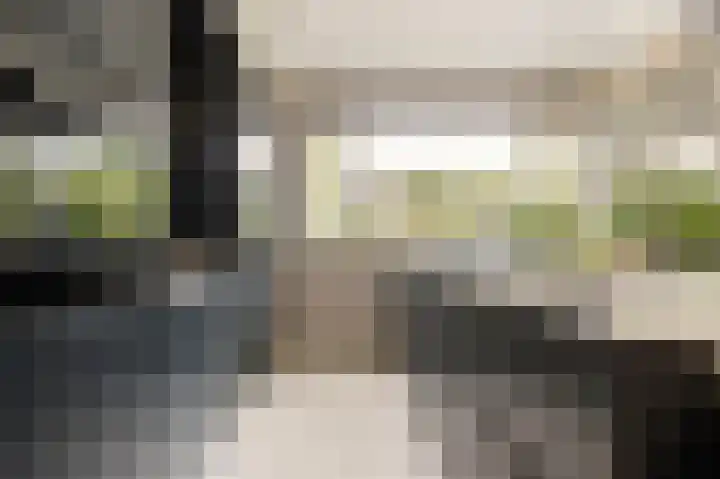 Van den Boschlaan 125 Ede thumbnail 15