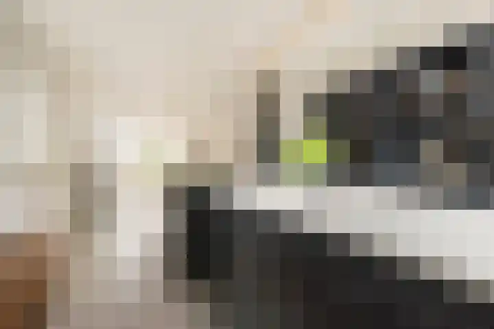 Van den Boschlaan 125 Ede thumbnail 17
