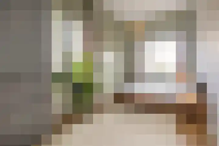 Van den Boschlaan 125 Ede thumbnail 19