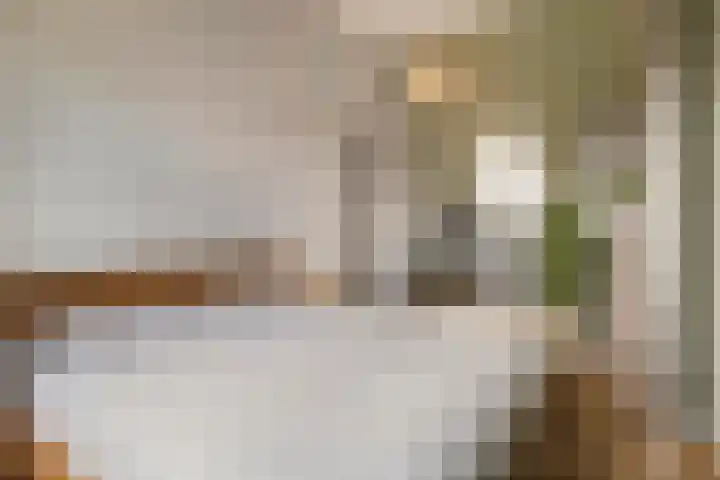 Van den Boschlaan 125 Ede thumbnail 20