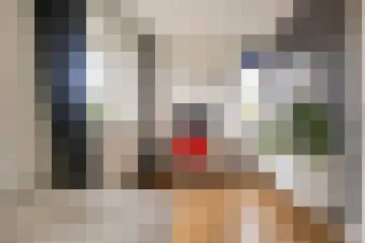 Van den Boschlaan 125 Ede thumbnail 24