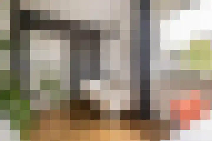 Van den Boschlaan 125 Ede thumbnail 25