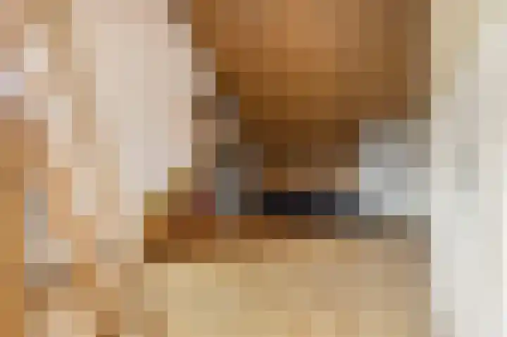 Van den Boschlaan 125 Ede thumbnail 30