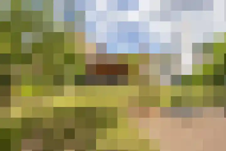 Van den Boschlaan 125 Ede thumbnail 35
