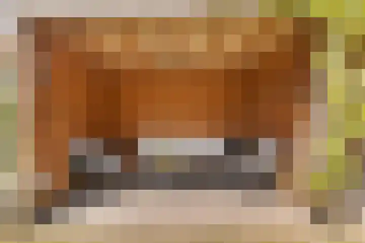 Van den Boschlaan 125 Ede thumbnail 36