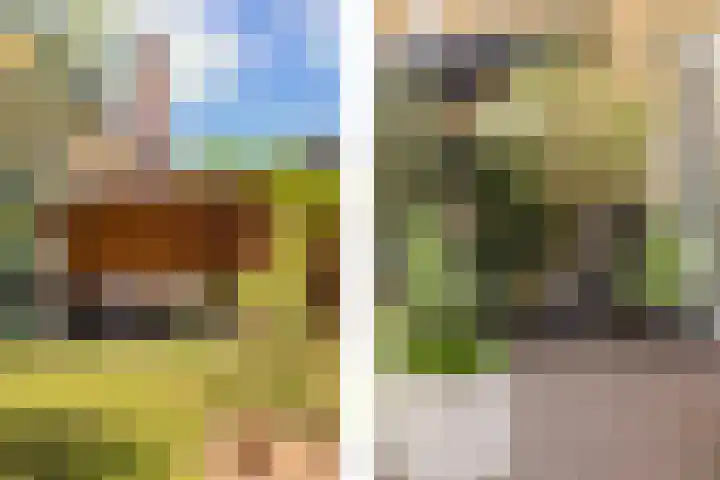 Van den Boschlaan 125 Ede thumbnail 37