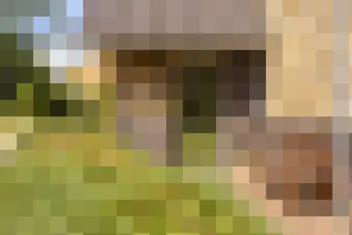 Van den Boschlaan 125 Ede thumbnail 4