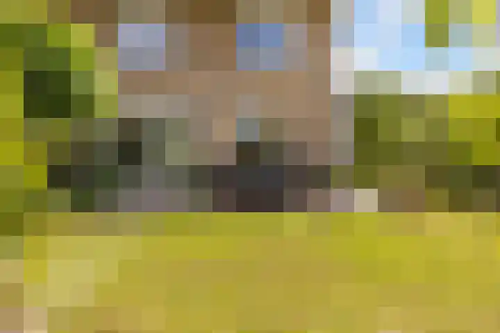 Van den Boschlaan 125 Ede thumbnail 40