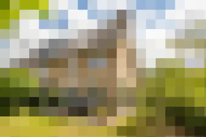 Van den Boschlaan 125 Ede thumbnail 41