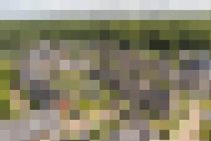 Van den Boschlaan 125 Ede thumbnail 43