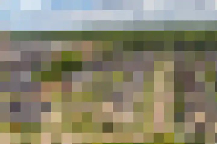 Van den Boschlaan 125 Ede thumbnail 44