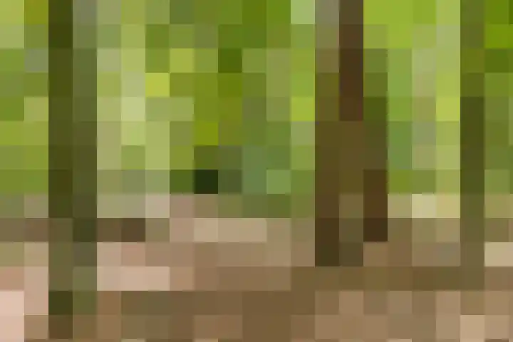 Van den Boschlaan 125 Ede thumbnail 47
