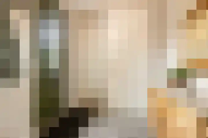 Van den Boschlaan 125 Ede thumbnail 5