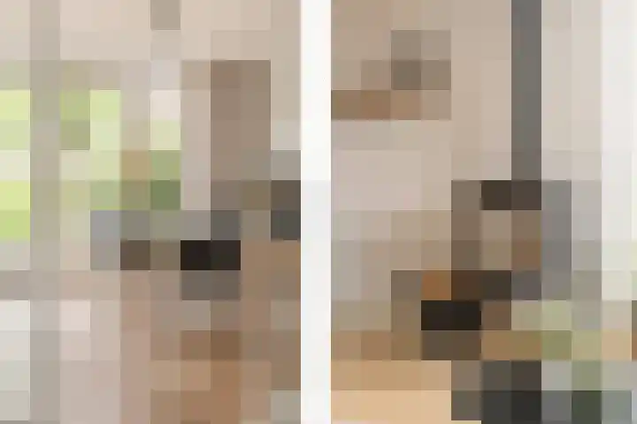 Van den Boschlaan 125 Ede thumbnail 7