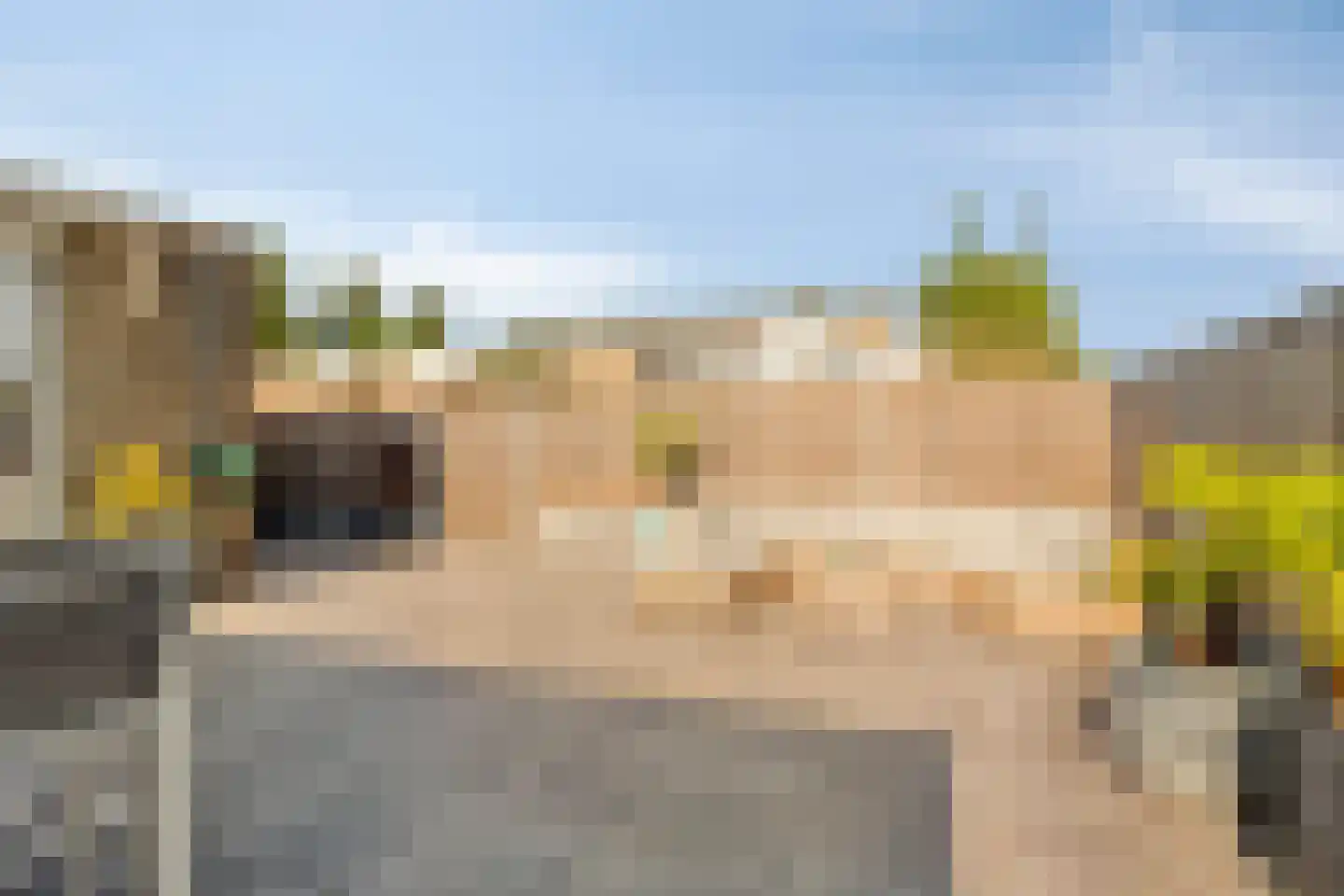 van den Boschlaan 14 Hellevoetsluis thumbnail 21