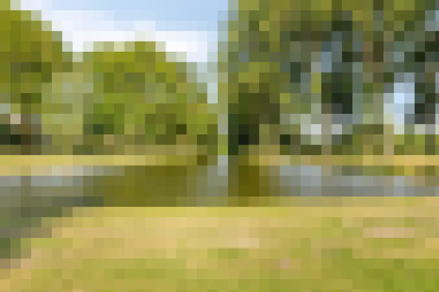 van den Boschlaan 14 Hellevoetsluis thumbnail 29