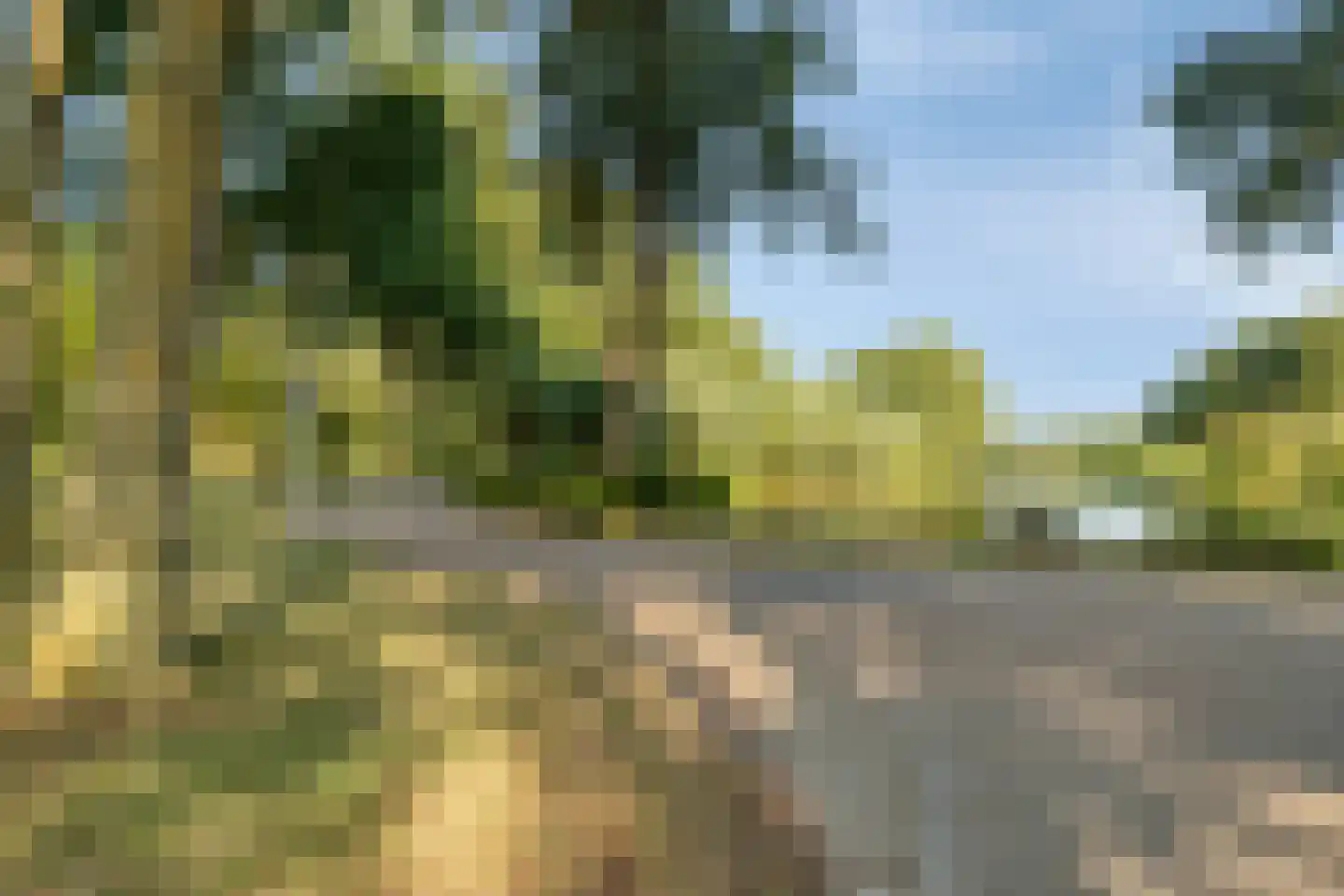 van den Boschlaan 14 Hellevoetsluis thumbnail 30