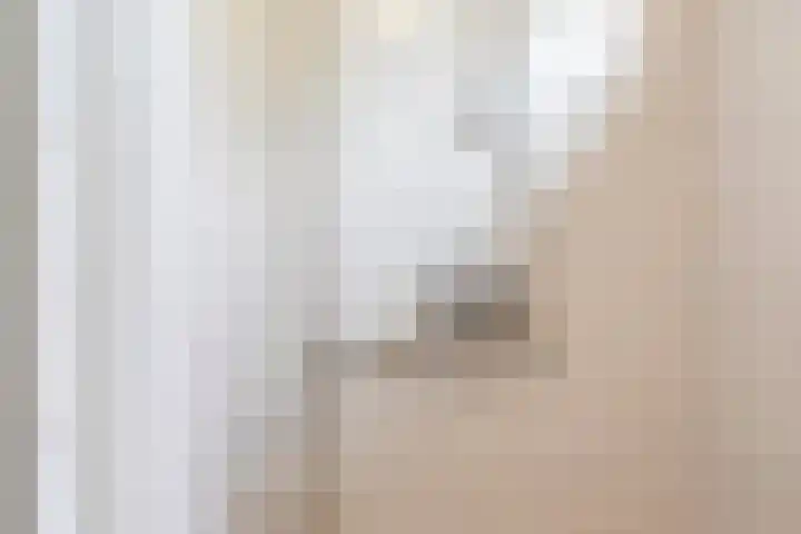 van den Boschlaan 17 Hellevoetsluis thumbnail 12