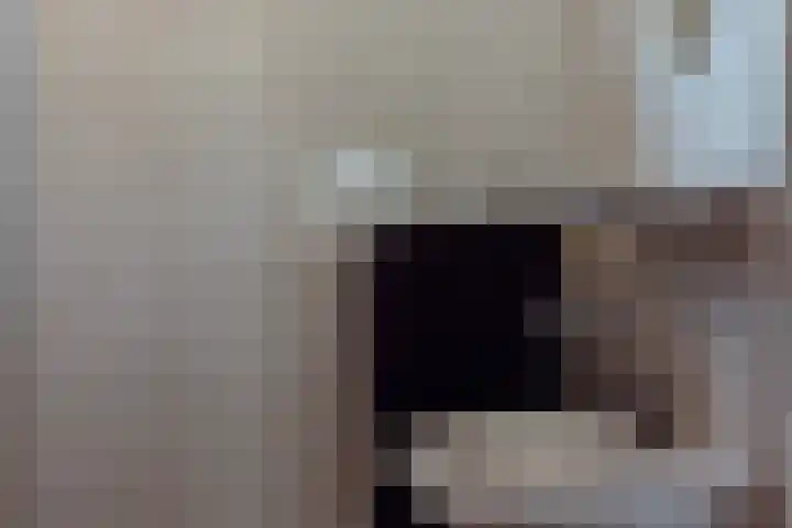 van den Boschlaan 17 Hellevoetsluis thumbnail 13