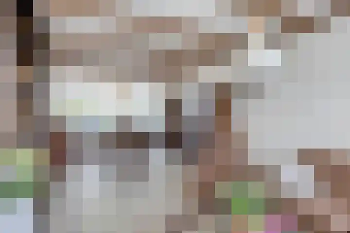 van den Boschlaan 17 Hellevoetsluis thumbnail 4