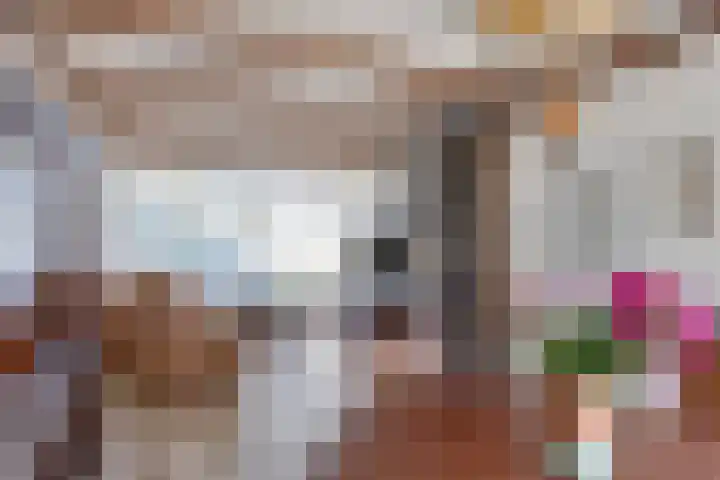 van den Boschlaan 17 Hellevoetsluis thumbnail 5